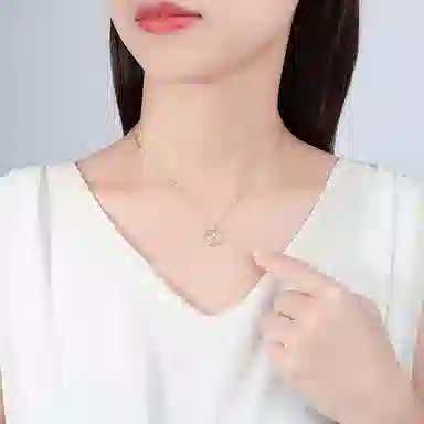 LAA ins 925