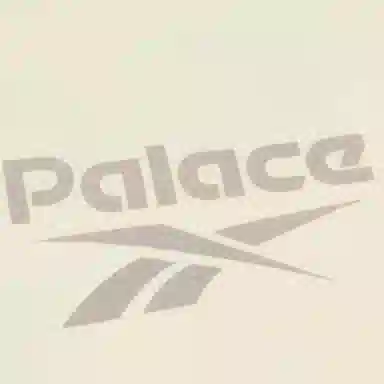 PALACE x Reebok SS24 LogoT
