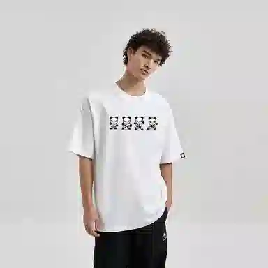 HIPANDA T
