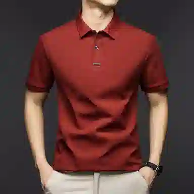 Pierre Cardin Polo Shirt