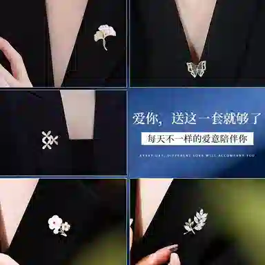 缔晶 森系优雅时尚春夏胸花套装 清新浪漫衣服配饰礼盒 合金 胸针 女款