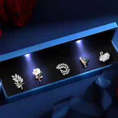 缔晶 森系优雅时尚春夏胸花套装 清新浪漫衣服配饰礼盒 合金 胸针 女款