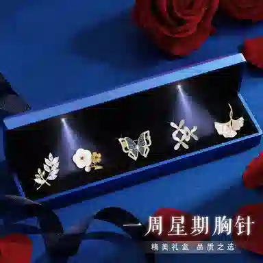 缔晶 森系优雅时尚春夏胸花套装 清新浪漫衣服配饰礼盒 合金 胸针 女款