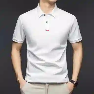 Pierre Cardin Polo Shirt