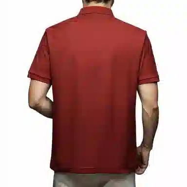 Pierre Cardin Polo Shirt