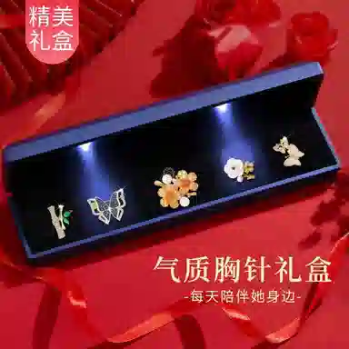 缔晶 森系优雅时尚春夏胸花套装 清新浪漫衣服配饰礼盒 合金 胸针 女款