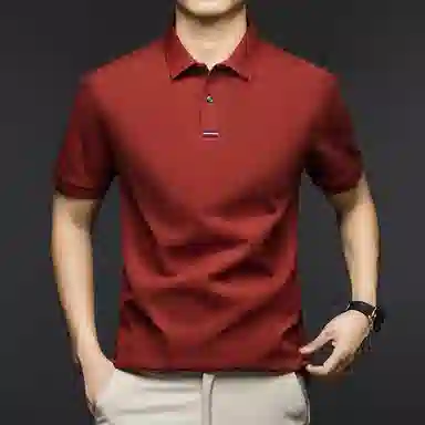 Pierre Cardin Polo Shirt