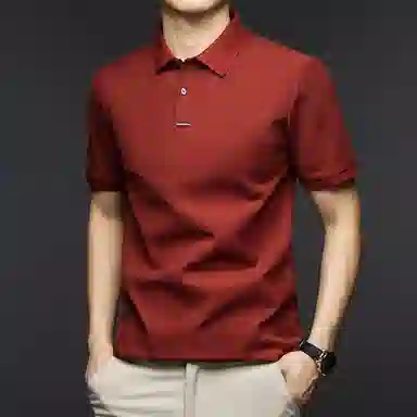 Pierre Cardin Polo Shirt