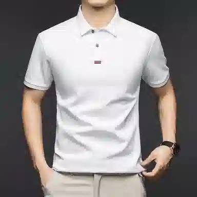 Pierre Cardin Polo Shirt