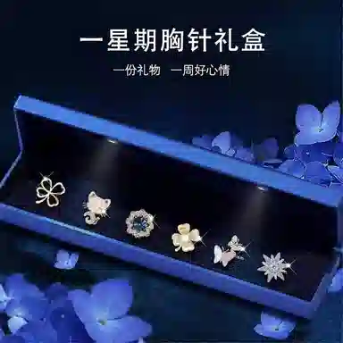 缔晶 清新时尚精致套装 一周星期时尚礼盒 合金 胸针 女款