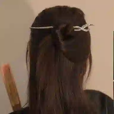 贯古今 复古国风鱼尾简约现代丸子头 合金 发簪 女款