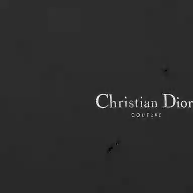 DIOR LogoT