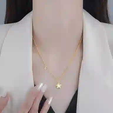 梵星饰季 小星愿 森系甜美风 精致轻奢小众设计感锁骨链 日常通勤百搭 合金 项链 女款