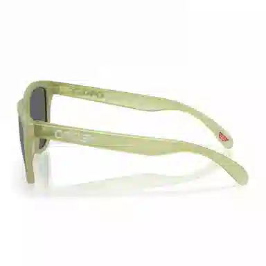 Oakley 9245 FROGSKINS (A)