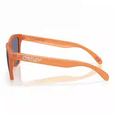 Oakley 9245 FROGSKINS (A)