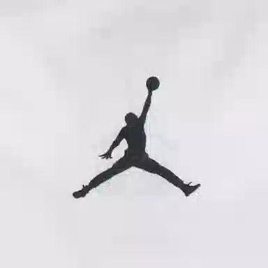 Jordan 14 T