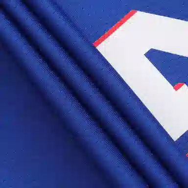 Nike NBA Swingman Jersey SW 76 21