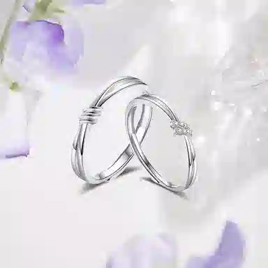 Inkopper ins