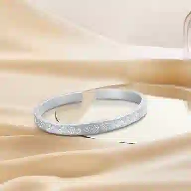 Inkopper ins