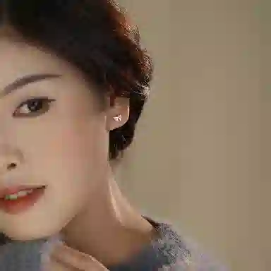 SHK ins