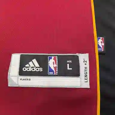 adidas x NBA James Swingman Jersey Red