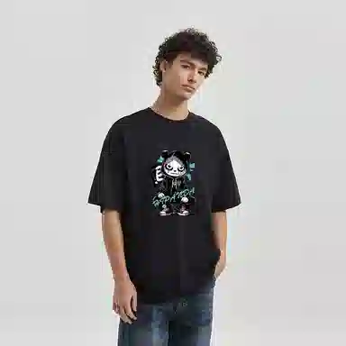 HIPANDA T