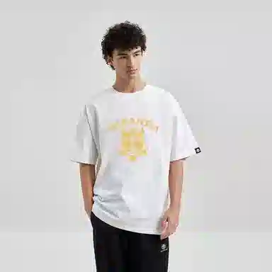 HIPANDA T