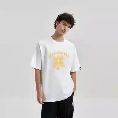 HIPANDA T