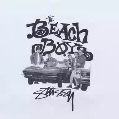 Stussy The Beach Boy T