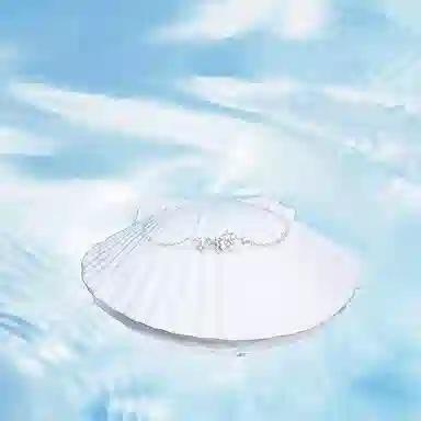 BLANK IN BLANK S925 ins