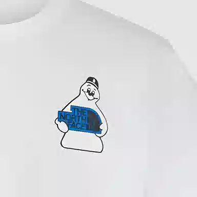 THE NORTH FACE T