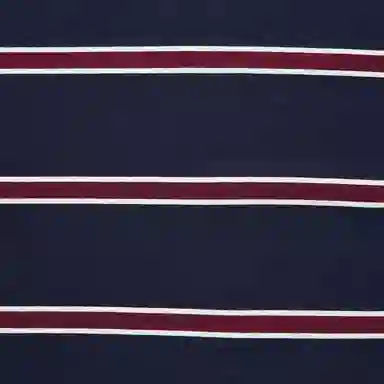 UNIQLO Polo