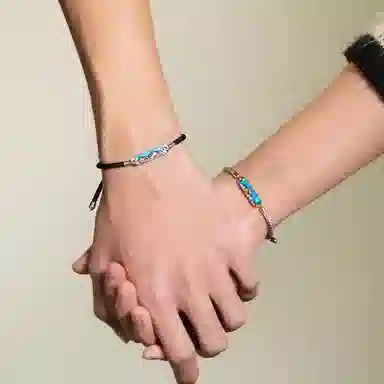 Inkopper ins