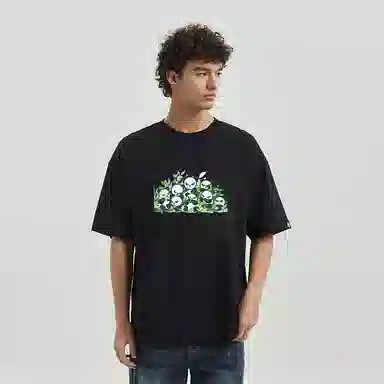 HIPANDA T