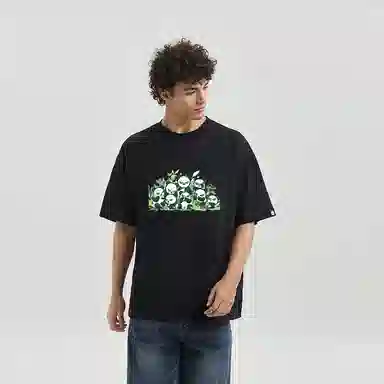 HIPANDA T