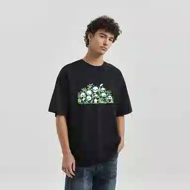 HIPANDA T