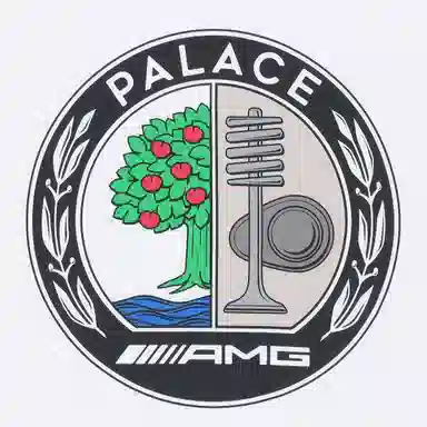 PALACE SS21 x AMG Emblem T-Shirt White LogoT