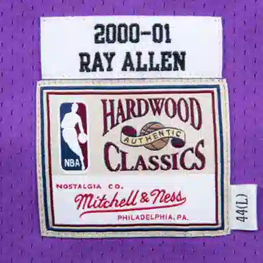 Mitchell Ness NBA AU 00-01 34