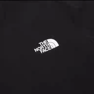 THE NORTH FACE T