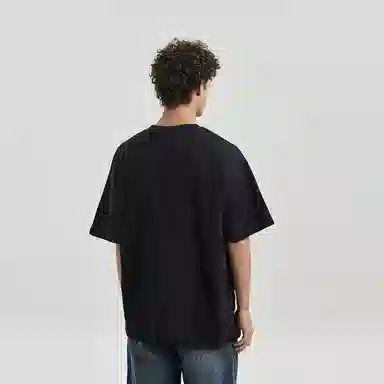 HIPANDA T