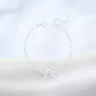 PRETTY DIARY ins S925