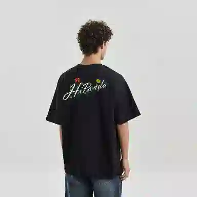 HIPANDA T