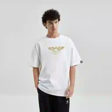 HIPANDA T