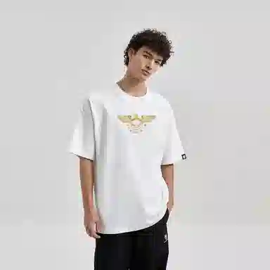 HIPANDA T