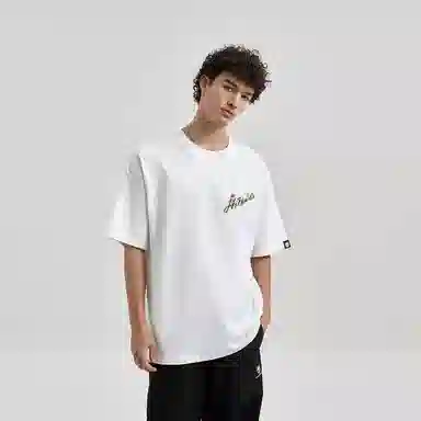 HIPANDA T