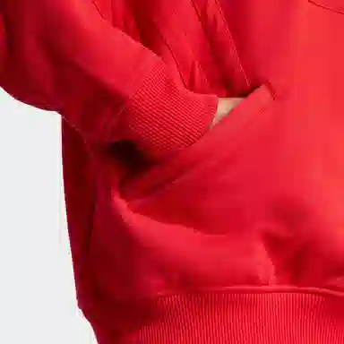 adidas originals Blue Version SAN DIEGO HOODIE