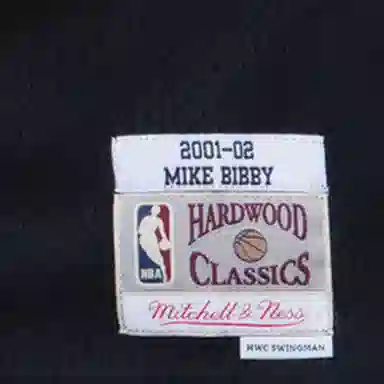 Mitchell Ness NBA SW 2001-02 10