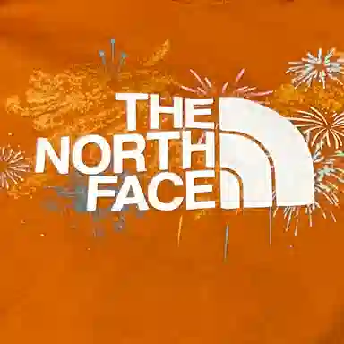 THE NORTH FACE Logo T