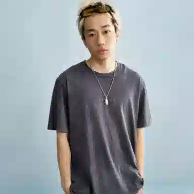 Champion SS25 Mineral Dye T