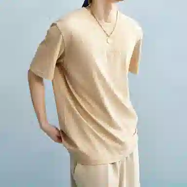 Champion SS25 Mineral Dye T